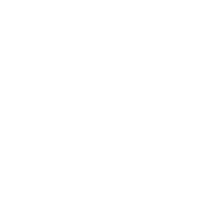 Hand Feeding Stingrays