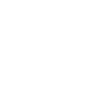 Feeding Nile Crocodiles, Giant Tortoises, and Tropical Birds