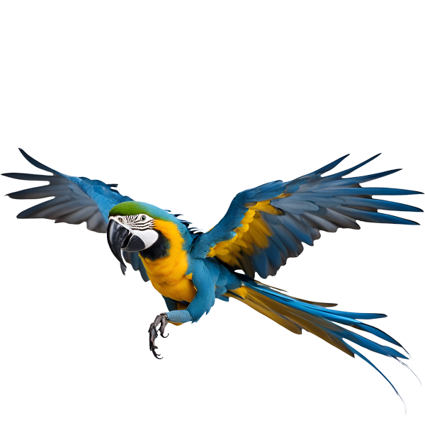 Pirana