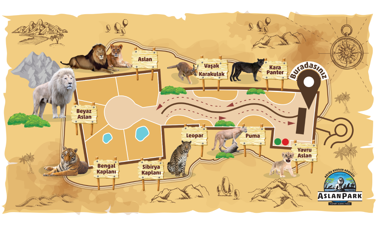 <p>Haritada Aslan Alanı</p>