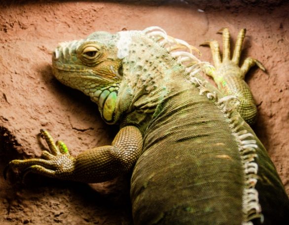 Viaport Marina Instagram