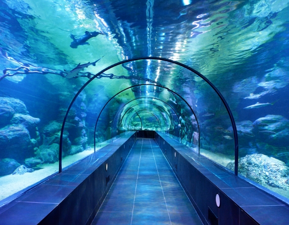 Viaport Marina Instagram